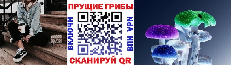 Псилоцибиновые грибы Cubensis  Купить закладки  Тара 