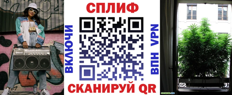 Купить закладки  Тара  Канабис VHQ 